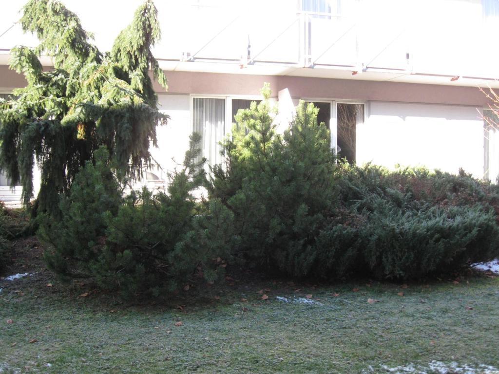 Holiday Apartments Warmbad Villach Dış mekan fotoğraf